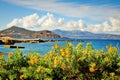 Beautiful yellow flowers over the sea