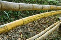 Beautiful Yellow bamboo fencing Royalty Free Stock Photo