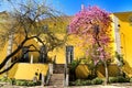 Beautiful yellow house with colorful garden in Lisbon