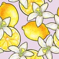 Beautiful yellow lemon fruits and white flowers citrus isolated on pink background. Flowers lemon doodle drawing. Seamless pattern Royalty Free Stock Photo
