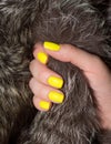 Beautiful yellow manicure and furs Royalty Free Stock Photo