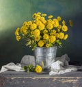 Beautiful yellow mums Royalty Free Stock Photo