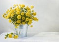 Beautiful yellow mums Royalty Free Stock Photo