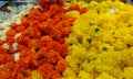 Beautiful Yellow and Orange color marigold flowers for garland preparation Royalty Free Stock Photo