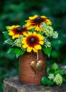 Beautiful yellow, orange globular or Black Eyed Susan flowers and ivy blossom in rusty tins with decor rustic heart. Royalty Free Stock Photo