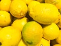 Beautiful yellow, orange natural sweet sour vitamin delicious ripe oblong bright lemons, fruits, citrus. Texture, background Royalty Free Stock Photo