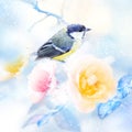 Beautiful yellow pink roses and tit bird in the snow and frost. Artistic winter natural image. Winter spring season. Square format