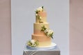 A beautiful yellow-pink wedding cake with live roses on the table indoors Royalty Free Stock Photo