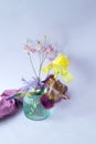 Beautiful yellow and purple iris flowers in glass vases