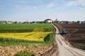 Beautiful yellow rapeseed field landscape with dirt road. Countryside village with houses and agricultural machine. Green and Royalty Free Stock Photo