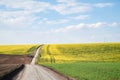 Beautiful yellow rapeseed field landscape with dirt road. Countryside village rural natural background . Green and yellow plants Royalty Free Stock Photo