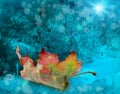 Beautiful yellow red green autumn maple leaf on snow near the plants covered with hoarfrost with a nice blurred bokeh Royalty Free Stock Photo