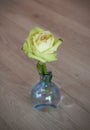 A beautiful yellow rose in a glass vase isolated on the floor Royalty Free Stock Photo