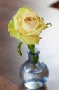 A beautiful yellow rose in a glass vase on the table Royalty Free Stock Photo