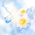 Beautiful yellow roses and blue butterfly in the snow and frost. Artistic winter natural image.