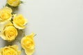 Beautiful yellow roses on light grey background, flat lay. Space for text Royalty Free Stock Photo