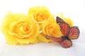 Beautiful yellow roses on rustic wood table. Royalty Free Stock Photo