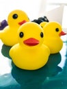 Beautiful yellow rubber bathtub toy ducks swim on a blue water background Royalty Free Stock Photo