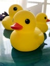 Beautiful yellow rubber bathtub toy ducks swim on a blue water background Royalty Free Stock Photo