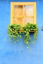 Beautiful yellow rustic window with flower vases and blue wall, passionate, romantic