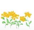 Beautiful yellow spring flowers. Illustration dedicated to the spring.