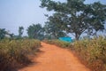 A beautiful yellow stone road in a village in west bengal Royalty Free Stock Photo