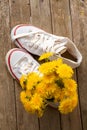 Summer dandelions in white sneakers