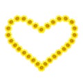Beautiful yellow Sunflower heart