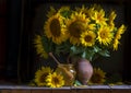 beautiful yellow Sunflower still life bouquet in a clay jug ceramic rustic style oil honey Dark photo background wooden table Royalty Free Stock Photo