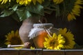 beautiful yellow Sunflower still life bouquet in a clay jug ceramic rustic style oil honey Dark photo background wooden table Royalty Free Stock Photo