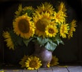 beautiful yellow Sunflower still life bouquet in a clay jug ceramic rustic style oil honey Dark photo background wooden table Royalty Free Stock Photo