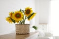 Beautiful yellow sunflowers on wooden table in room, space for text Royalty Free Stock Photo
