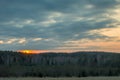 A beautiful yellow sunset over a mystical high forest. Forest landscape with beautiful sky Royalty Free Stock Photo