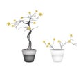 Beautiful Yellow Trees in Two Flower Pots Royalty Free Stock Photo