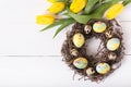 Beautiful yellow tulips with colorful quail and chicken eggs in wreath on white wooden background. Royalty Free Stock Photo