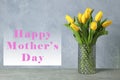 Beautiful yellow tulips in a glass vase on gray background for Mother`s Day Royalty Free Stock Photo