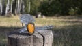 Beautiful yellow vintage Baltic amber pendant and crystal rose as decoration stand on the little cracked stump on the lawn in the