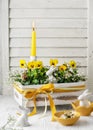 Beautiful yellow viola flowers with burning candle in the old vintage wooden box. Royalty Free Stock Photo