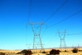 Beautiful yellow weeds field scenery with electric tower in Nevada, route 66 in USA