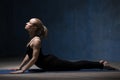 Beautiful Yoga Woman Doing Cobra Pose Royalty Free Stock Photo