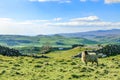 Beautiful yorkshire dales landscape stunning scenery england tourism uk green rolling hills europe Royalty Free Stock Photo