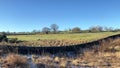 Beautiful Yorkshire Dales winter scene near Fewston Reservoir