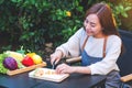 A woman cutting and chopping carrot by knife on wooden board with mixed vegetables in a tray Royalty Free Stock Photo