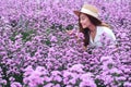 A beautiful young asian woman in Margaret flower field Royalty Free Stock Photo