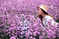 A beautiful young asian woman in Margaret flower field Royalty Free Stock Photo