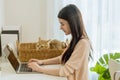 Beautiful young Asian woman working at home, with cat in basket Royalty Free Stock Photo