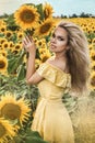 Beautiful young woman in a field of sunflowers in a yellow dress Royalty Free Stock Photo