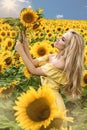 Beautiful young woman in a field of sunflowers in a yellow dress Royalty Free Stock Photo