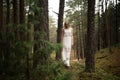 Walking Beautiful young blonde woman forest nymph in white dress in evergreen wood Royalty Free Stock Photo