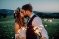Beautiful bride and groom with sparklers on a meadow. Royalty Free Stock Photo